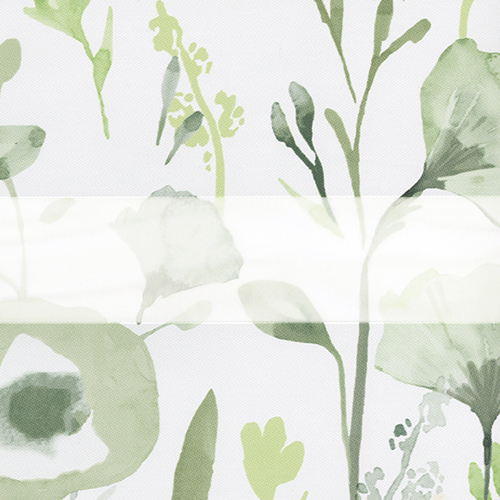 BELLA  GREEN thumbnail