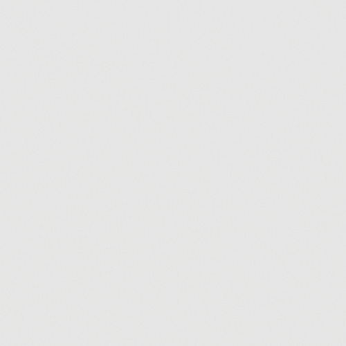 Carnival Blackout China White thumbnail