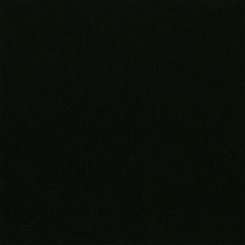 CARNIVAL BLACKOUT RAVEN thumbnail