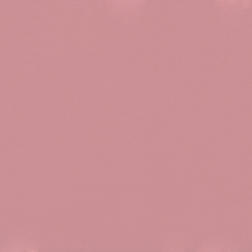 Carnival Pink thumbnail