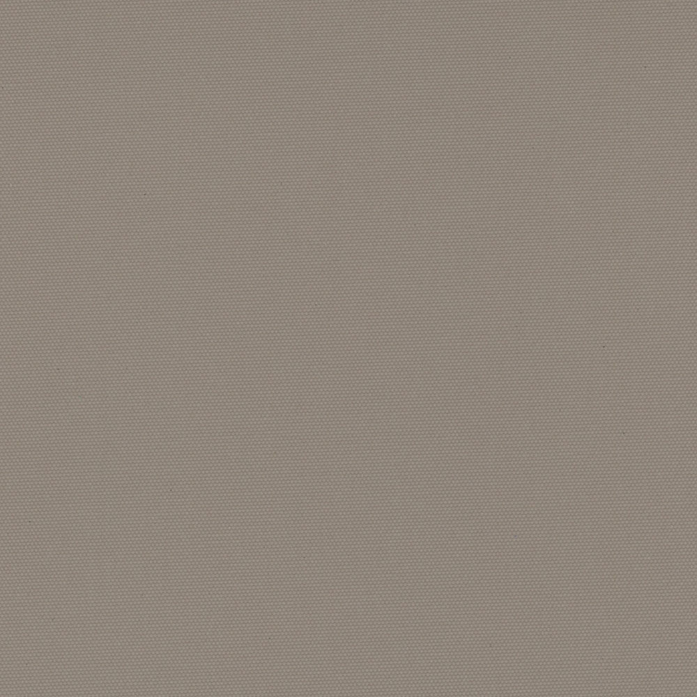 Carnival Taupe thumbnail