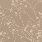 COLLINA CHAMPAGNE FIZZ