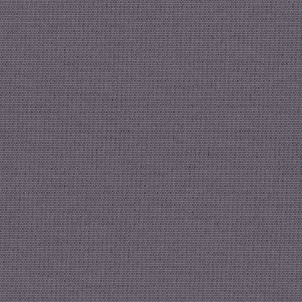 Pop Iris thumbnail