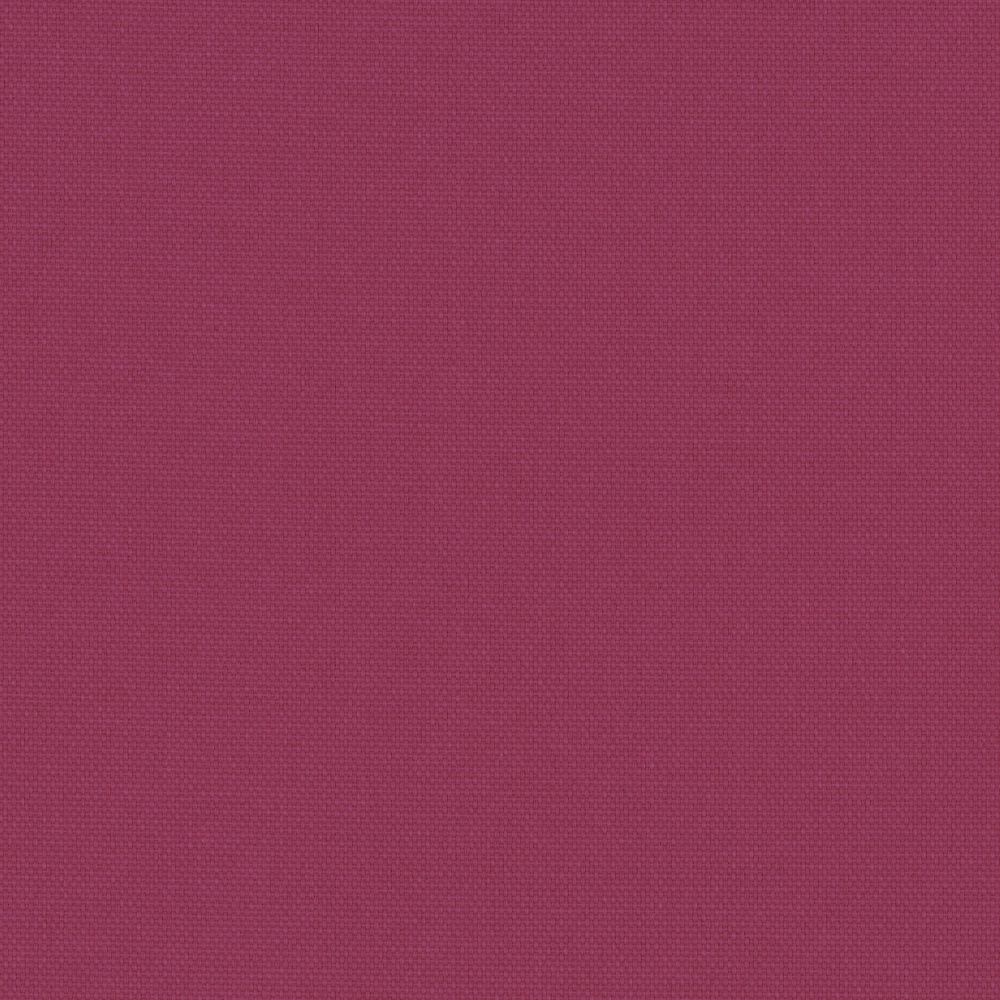 Pop Pink thumbnail