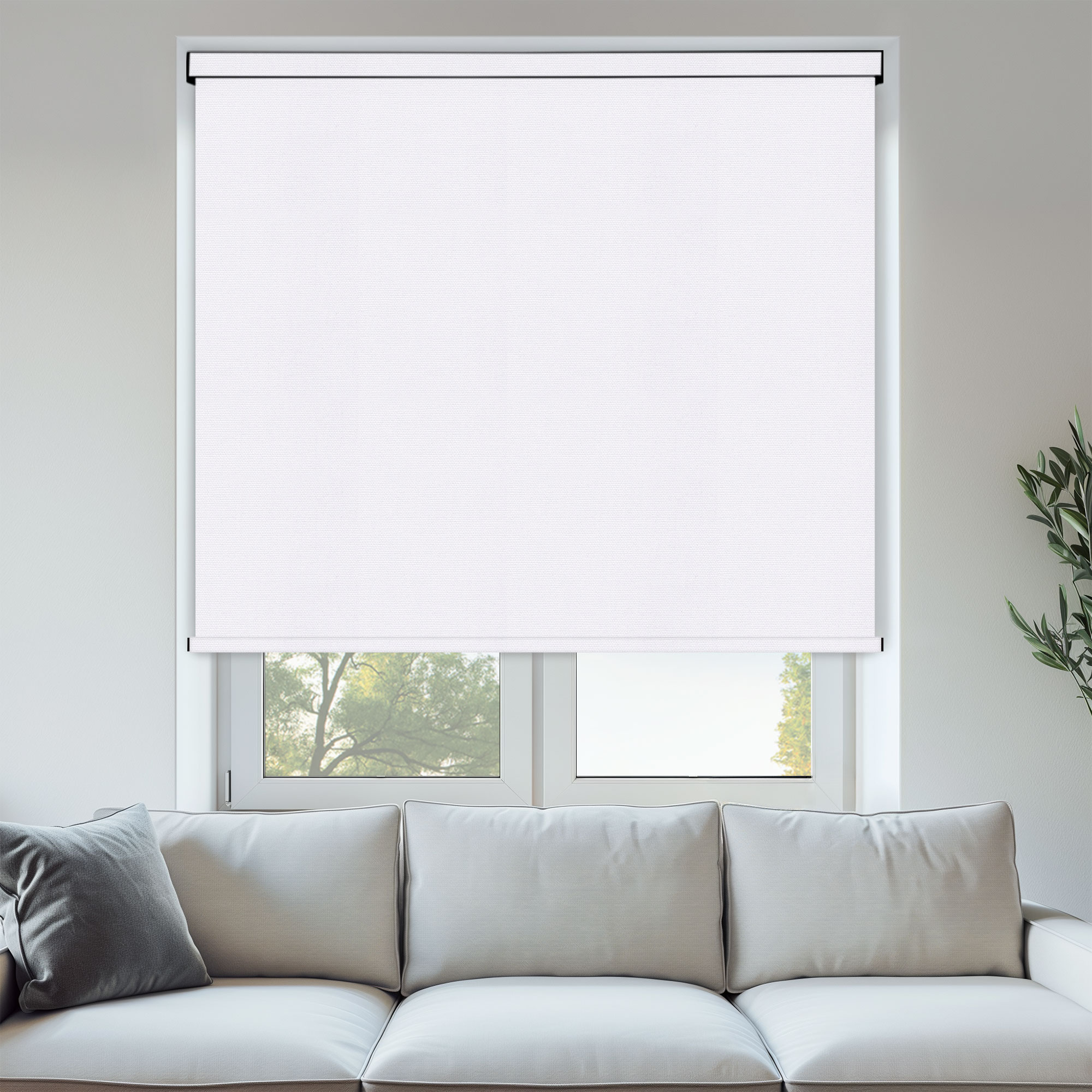 ROLL_DAYBREAK_WHITE.jpg