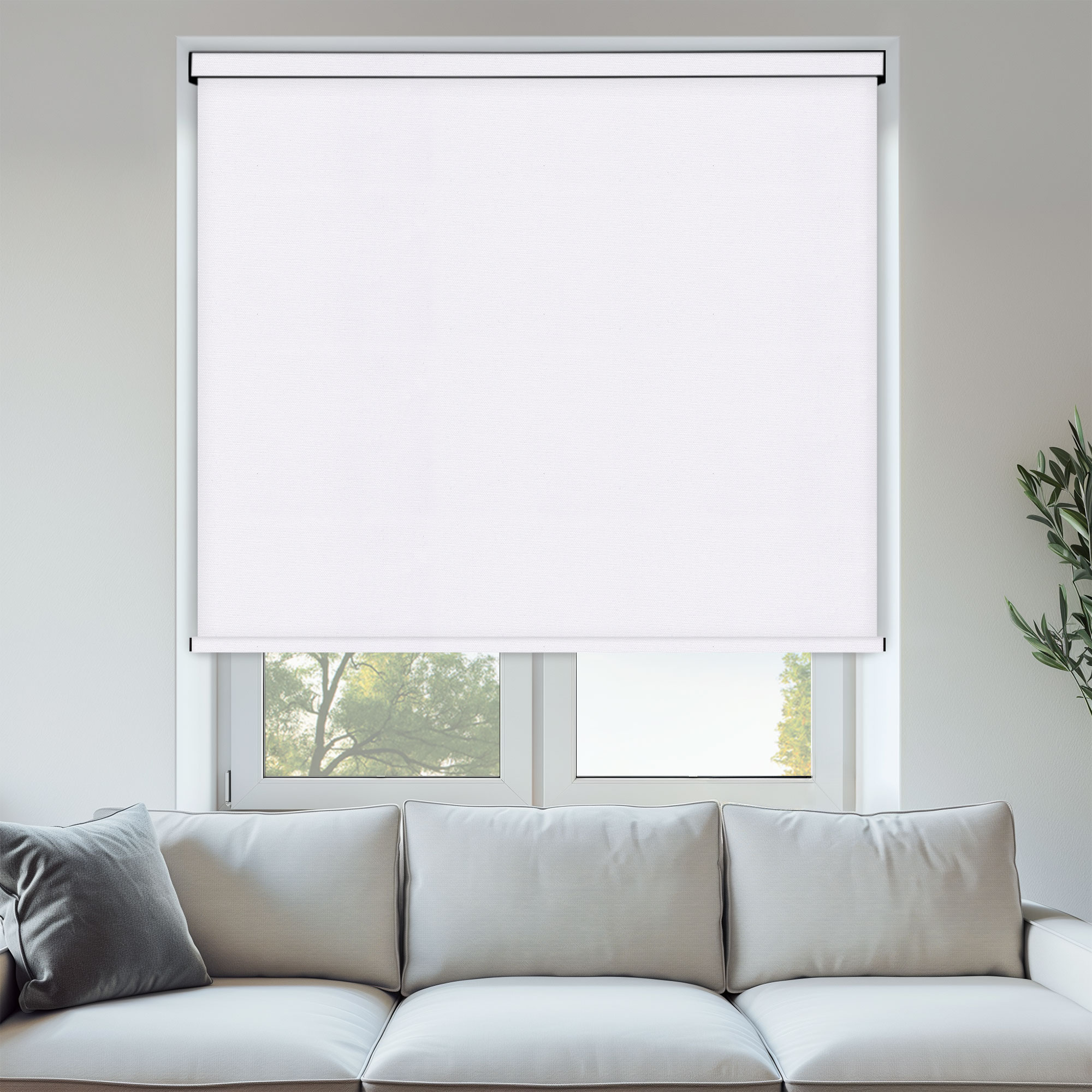 ROLL_SUNSET_BO_WHITE-1.jpg