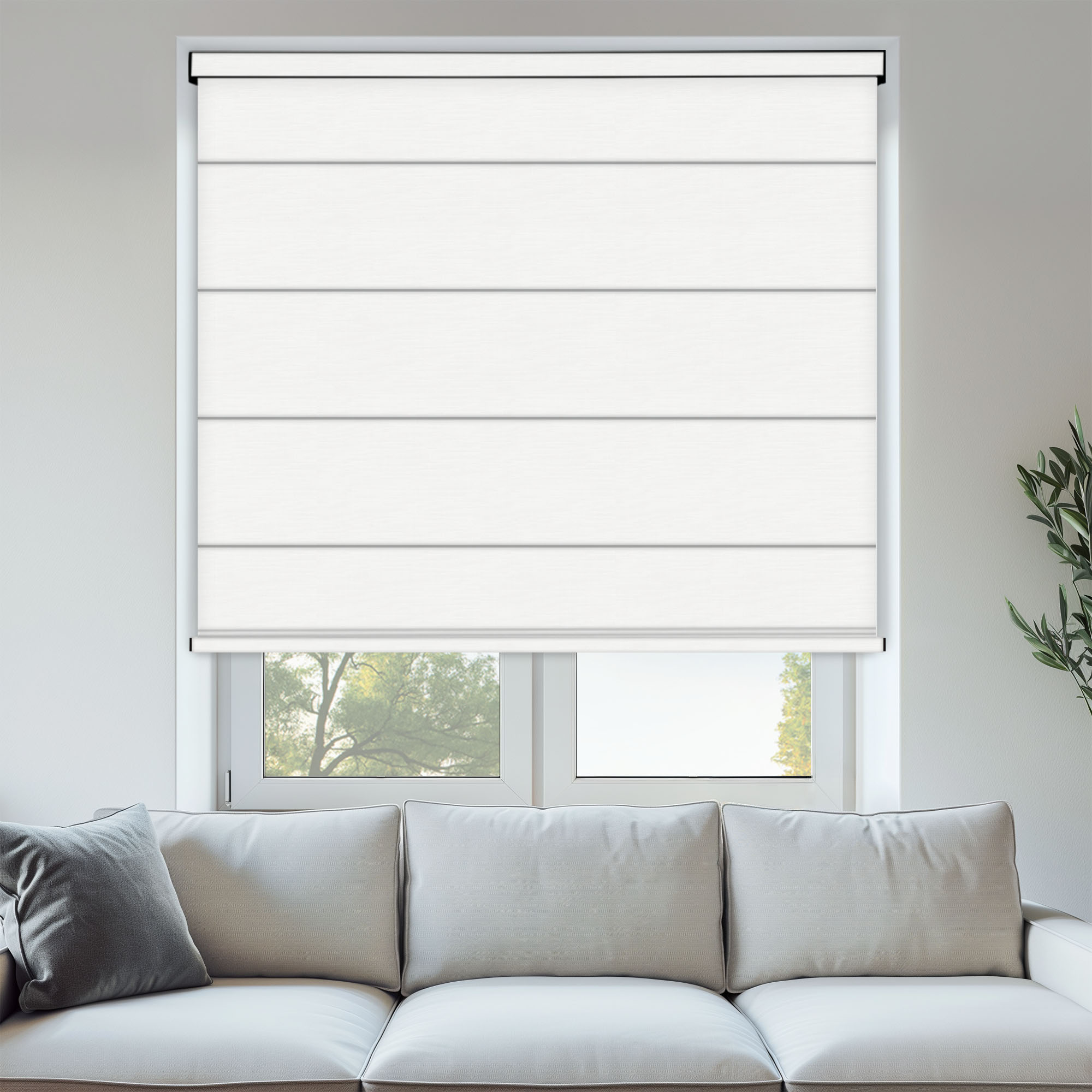 ROMAS_PANAMA_CANVAS