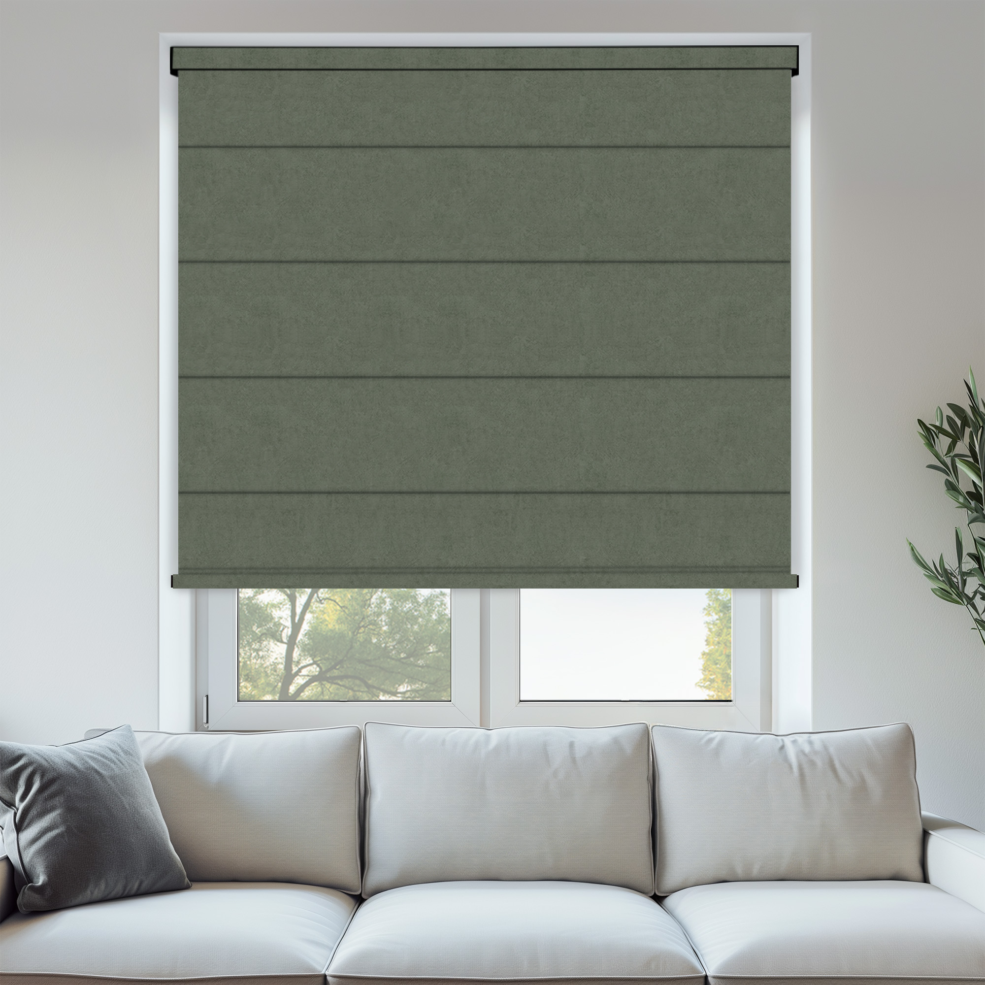 ROMAS_WINDSOR_FOREST_PINE